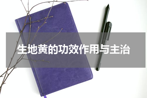 生地黄的功效作用与主治