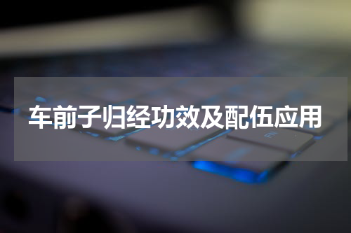 车前子归经功效及配伍应用