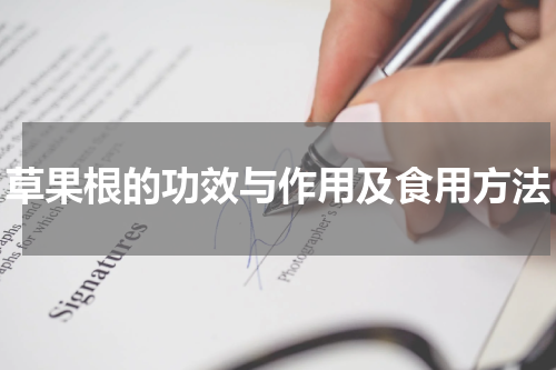 草果根的功效与作用及食用方法