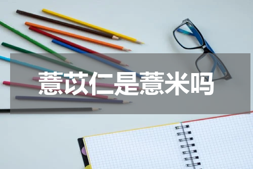薏苡仁是薏米吗