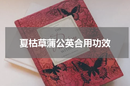 夏枯草蒲公英合用功效
