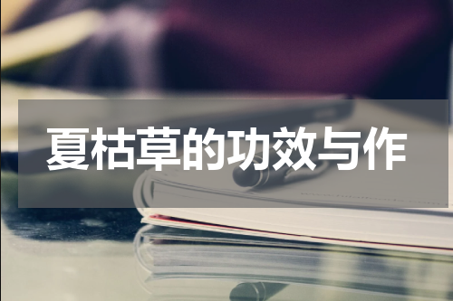 夏枯草的功效与作