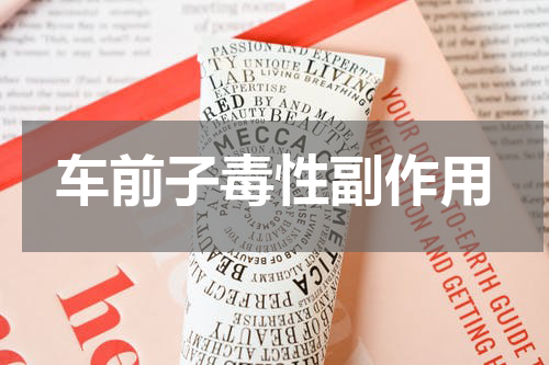 车前子毒性副作用