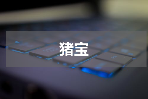 猪宝