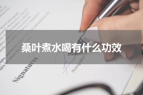 桑叶煮水喝有什么功效