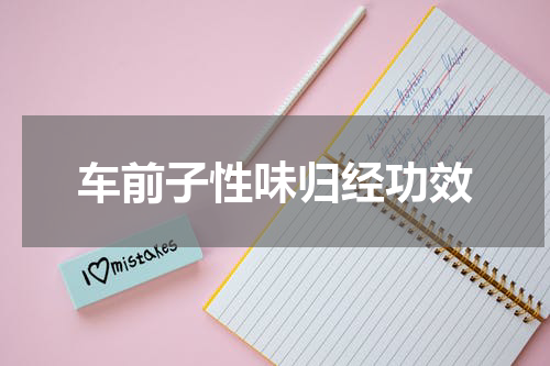车前子性味归经功效