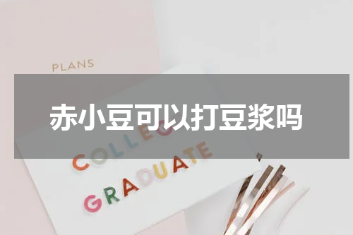 赤小豆可以打豆浆吗
