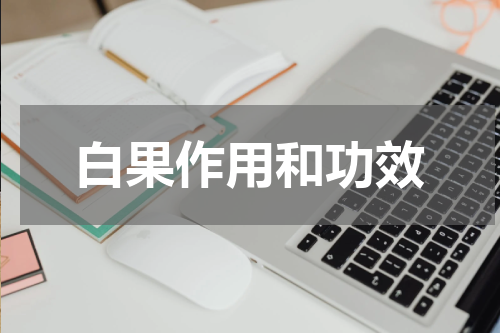 白果作用和功效