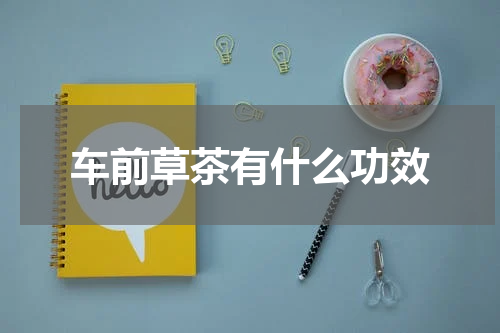 车前草茶有什么功效
