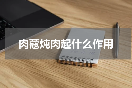 肉蔻炖肉起什么作用