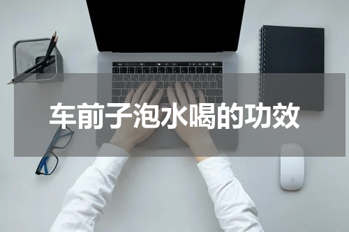 车前子泡水喝的功效