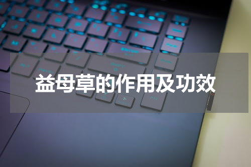 益母草的作用及功效