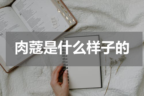 肉蔻是什么样子的