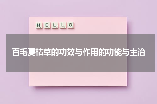 百毛夏枯草的功效与作用的功能与主治