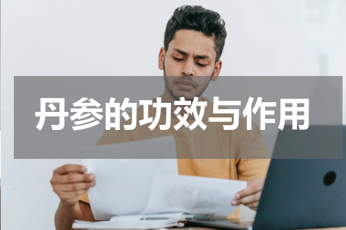 丹参的功效与作用