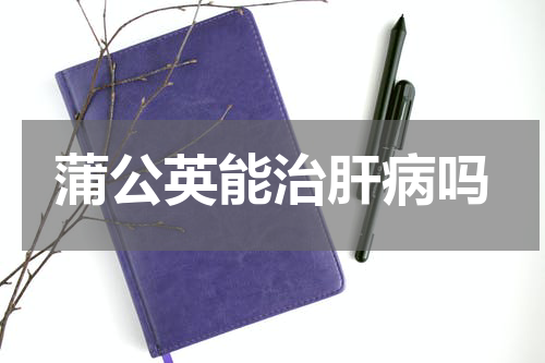 蒲公英能治肝病吗