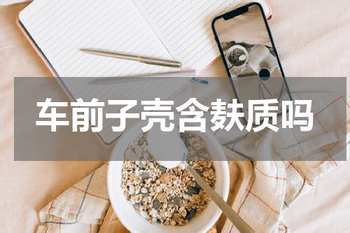 车前子壳含麸质吗