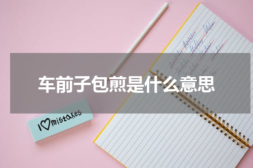 车前子包煎是什么意思