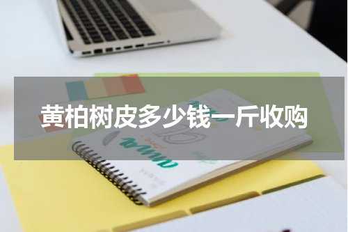 黄柏树皮多少钱一斤收购