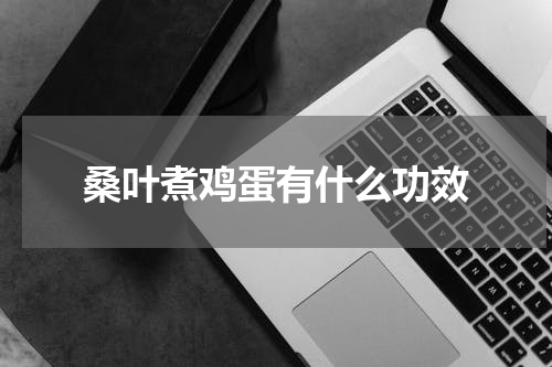 桑叶煮鸡蛋有什么功效