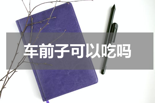 车前子可以吃吗