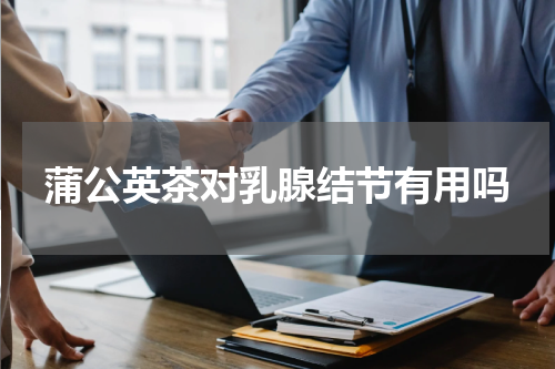 蒲公英茶对乳腺结节有用吗
