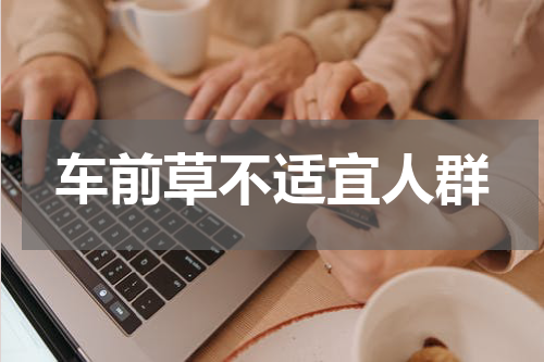 车前草不适宜人群