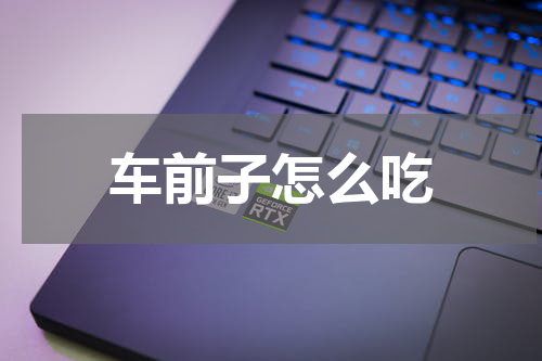 车前子怎么吃