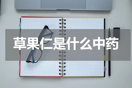 草果仁是什么中药