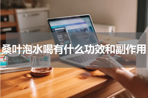 桑叶泡水喝有什么功效和副作用