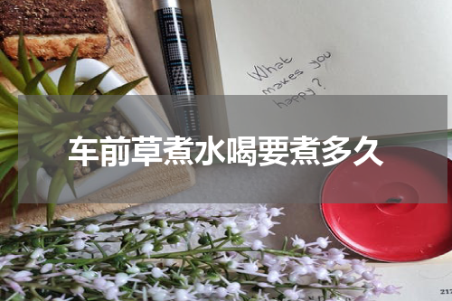 车前草煮水喝要煮多久