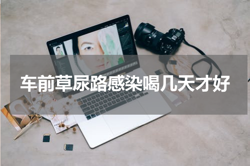 车前草尿路感染喝几天才好