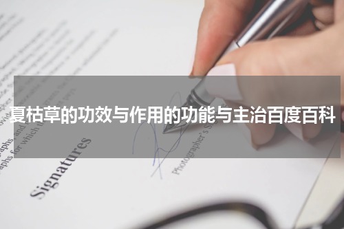夏枯草的功效与作用的功能与主治百度百科