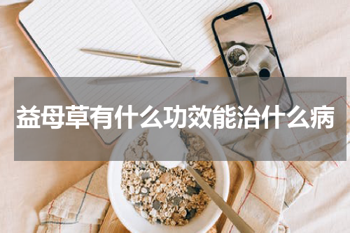 益母草有什么功效能治什么病