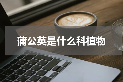 蒲公英是什么科植物