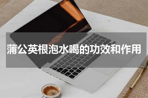 蒲公英根泡水喝的功效和作用