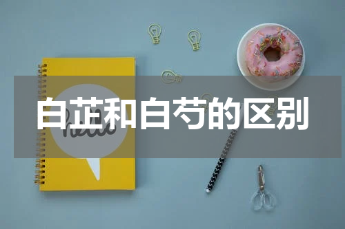 白芷和白芍的区别