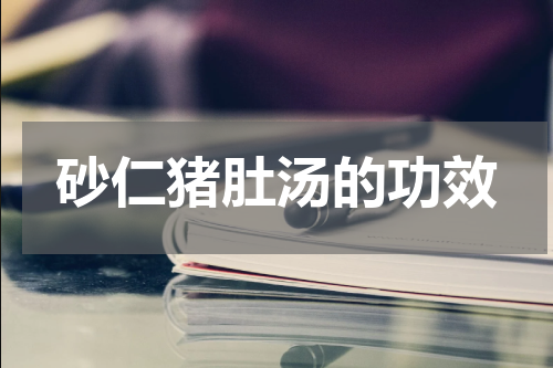 砂仁猪肚汤的功效