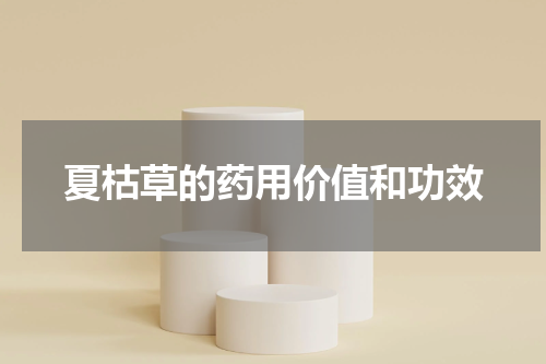 夏枯草的药用价值和功效