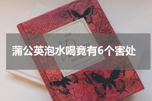蒲公英泡水喝竟有6个害处
