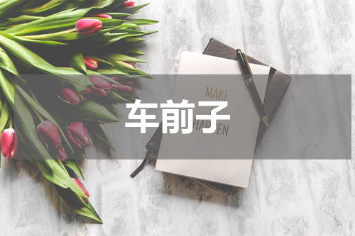 车前子