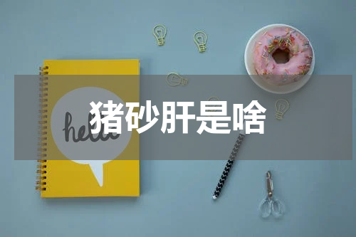 猪砂肝是啥