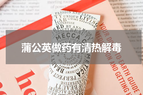 蒲公英做药有清热解毒