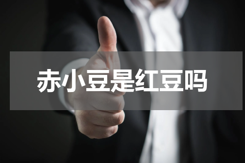 赤小豆是红豆吗