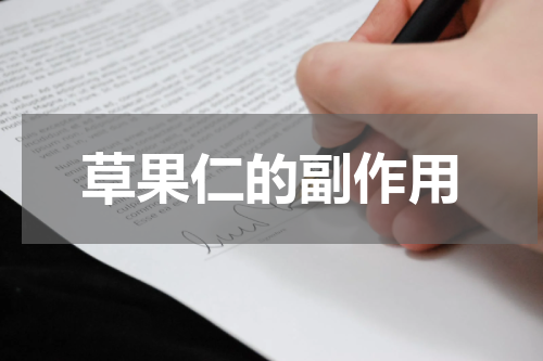草果仁的副作用