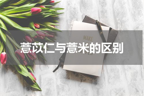 薏苡仁与薏米的区别