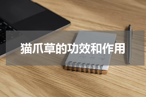 猫爪草的功效和作用