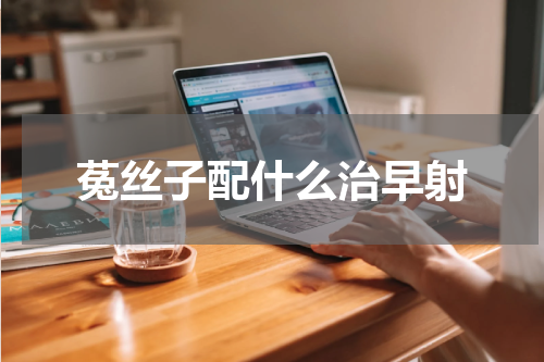 菟丝子配什么治早射