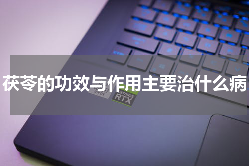 茯苓的功效与作用主要治什么病