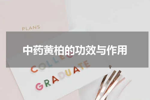 中药黄柏的功效与作用